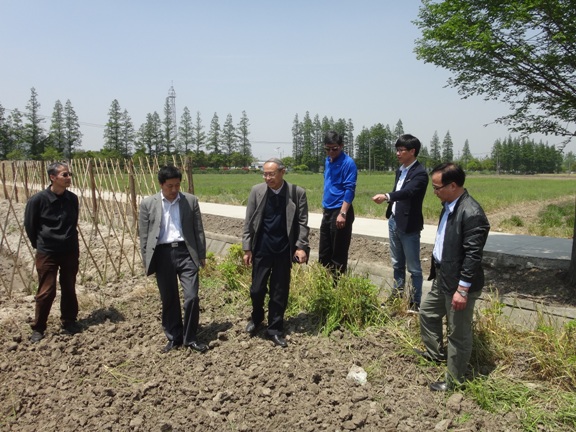 校村合作建基地 服务群众促发展――记88娱乐城
党总支赴松江区泖港镇腰泾村实地考察
